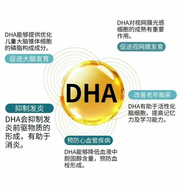 孩子分心走神、作业拖拉？2026热门DHA藻油，MOTOOZ藻油帮孩子找回专注力(图3)