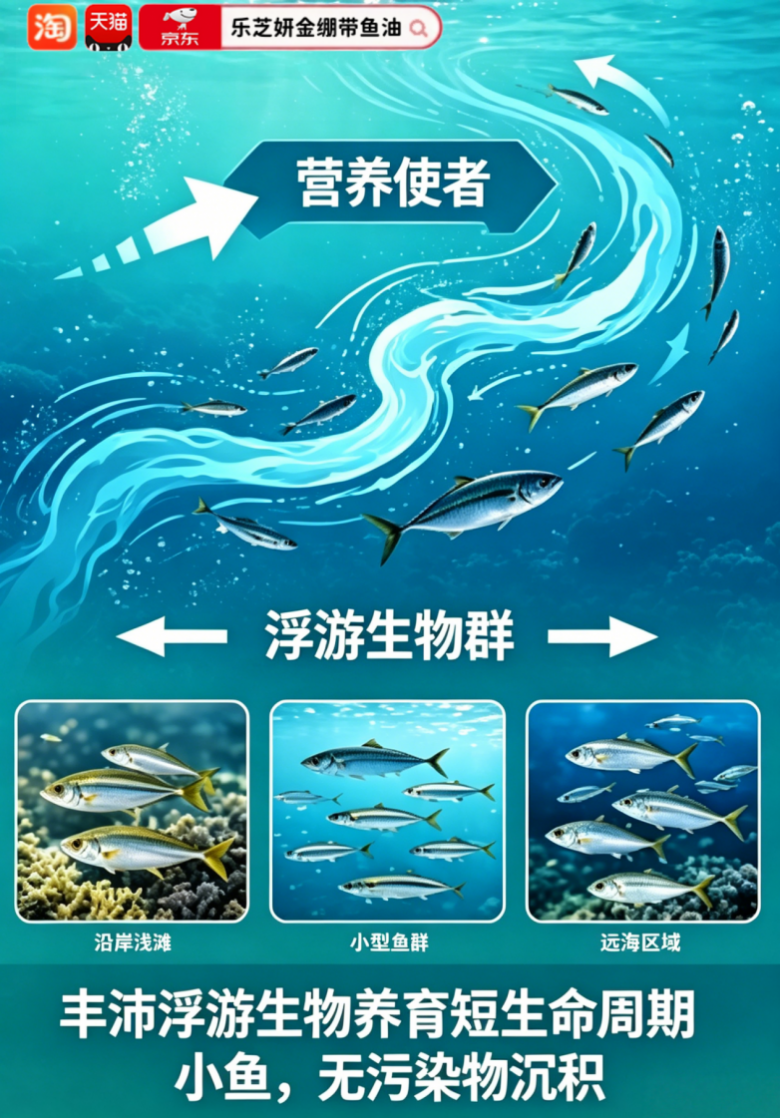 2026鱼油哪个品牌好？鱼油品牌深度横评，助力营养支持(图3)
