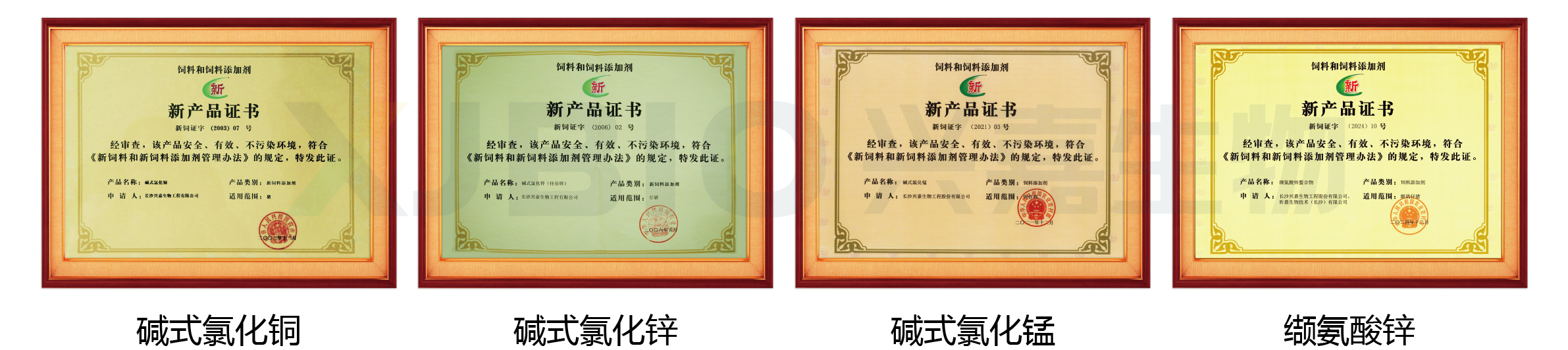 专访兴嘉生物总裁向阳葵|打造差异化核心竞争力，充分发挥微矿“芯片”价值(图4)