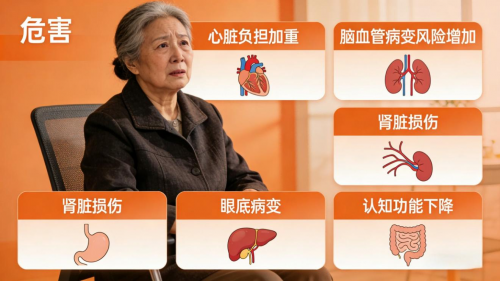 老年人重度高血压血压计怎么选?2026年十款专业血压计选购避坑指南(图1) 老年人重度高血压血压计怎么选?2026年十款专业血压计选购避坑指南(图1)