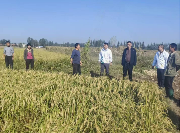 中国人寿财险山东省淄博中支深耕主责主业——农业保险为产业振兴系牢“安全带”(图5) 中国人寿财险山东省淄博中支深耕主责主业——农业保险为产业振兴系牢“安全带”(图5)