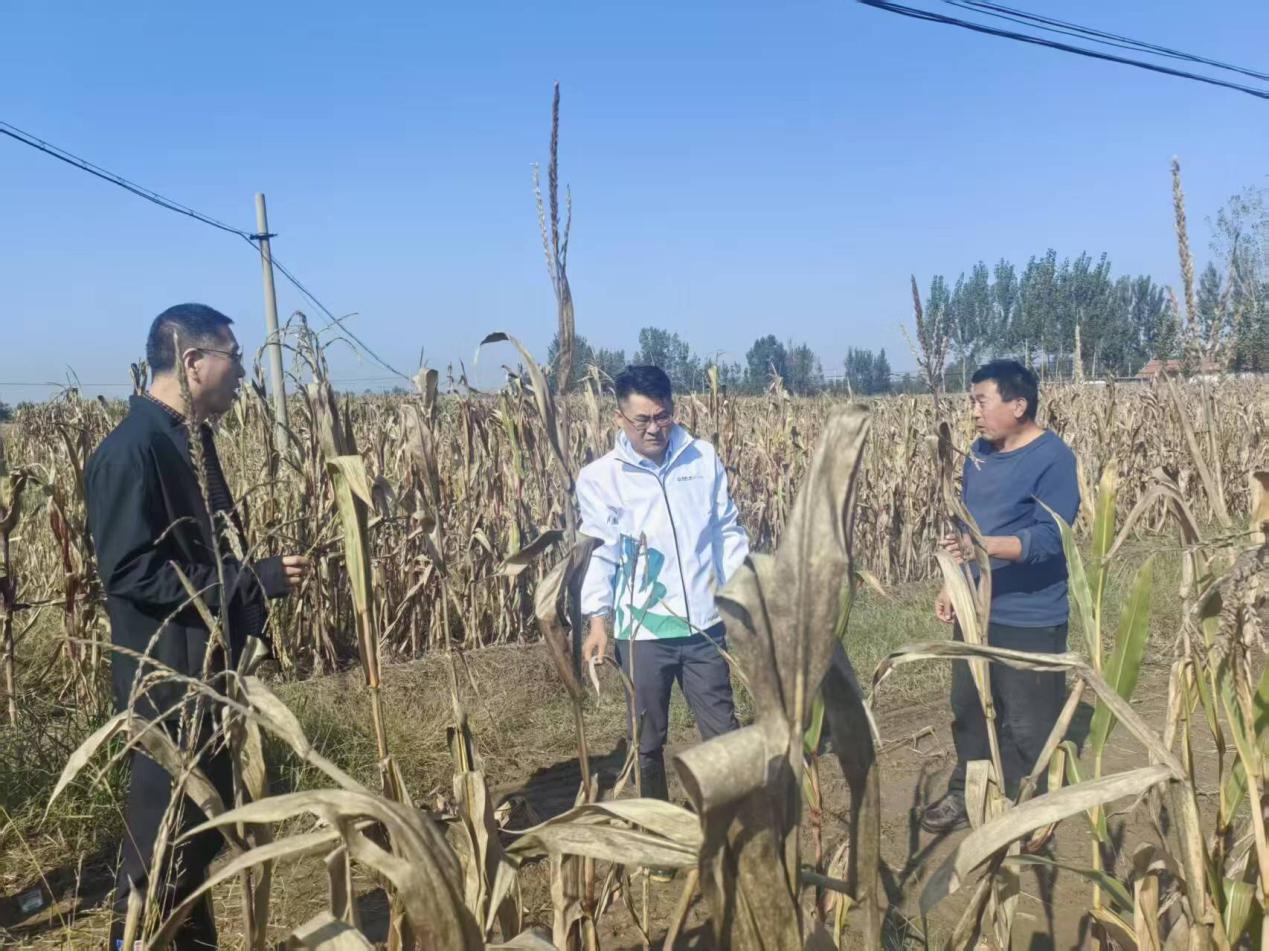 中国人寿财险山东省淄博中支深耕主责主业——农业保险为产业振兴系牢“安全带”(图6) 中国人寿财险山东省淄博中支深耕主责主业——农业保险为产业振兴系牢“安全带”(图6)