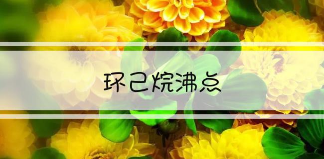 环己烷沸点