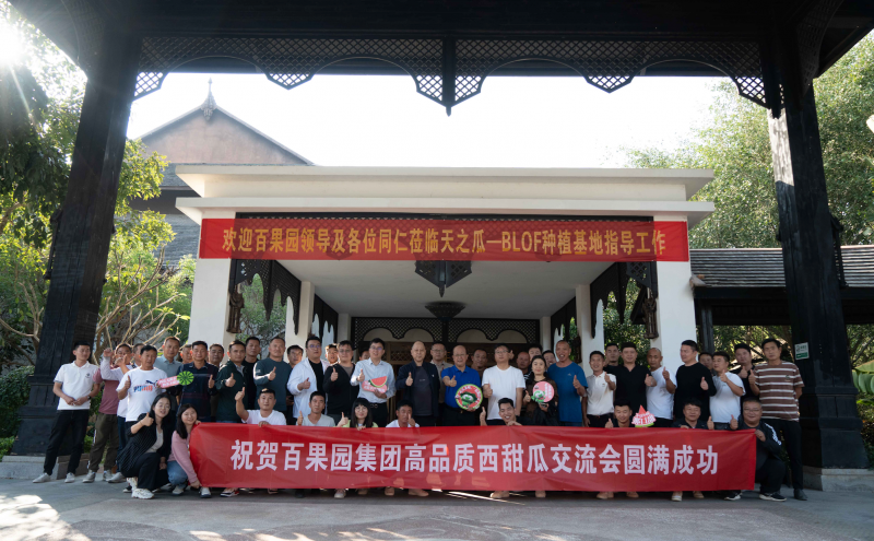 BLOF技术在云南落地，百果园助力高品质西甜瓜产业良性发展