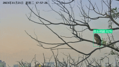 长白山一季度营收1.28亿元增长超八成净利润同比扭亏