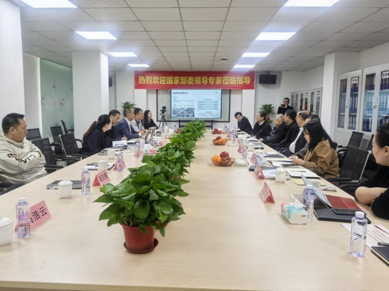 聚焦关键技术创新 专家领导赴广东腾珑科技考察调研